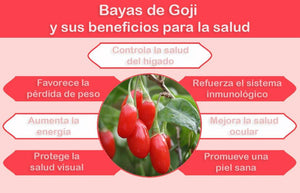 Bayas de Goji en polvo 90 Cápsulas Vegetales de 500 mg - SuperVida.mx